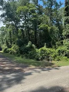 447 Harbor Blvd, Hemphill, TX 75948 - #2