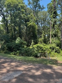 447 Harbor Blvd, Hemphill, TX 75948 - #3