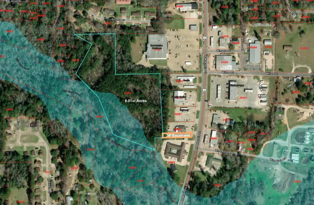 24499 S Magnolia St, Woodville, TX 75979 - #1