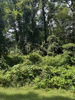 222 Ensign Drive, Hemphill, TX 75948 - #1