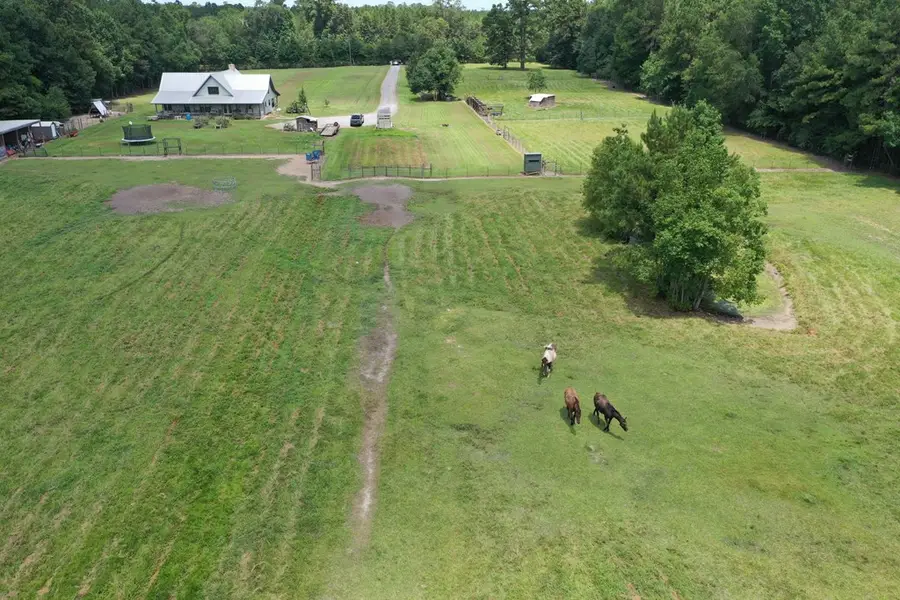 7096 Jim Burns Road, Silsbee, TX 77656 - #3