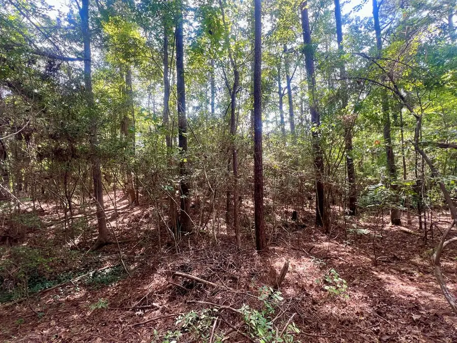 PID 31938 Post Oak Lane, Brookeland, TX 75931 - #3