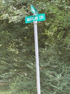 114 Marlin Drive, Hemphill, TX 75948