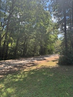 114 Marlin Drive, Hemphill, TX 75948 - #3