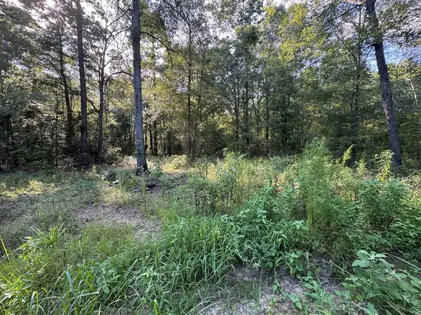 Lot 9 Cr 2626, Alto, TX 75925