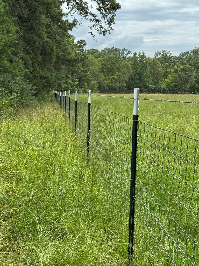 Lot 9 Cr 2626, Alto, TX 75925 - #3
