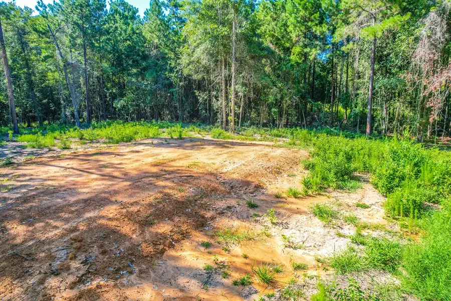 445 County Road 061, Jasper, TX 75951 - #2