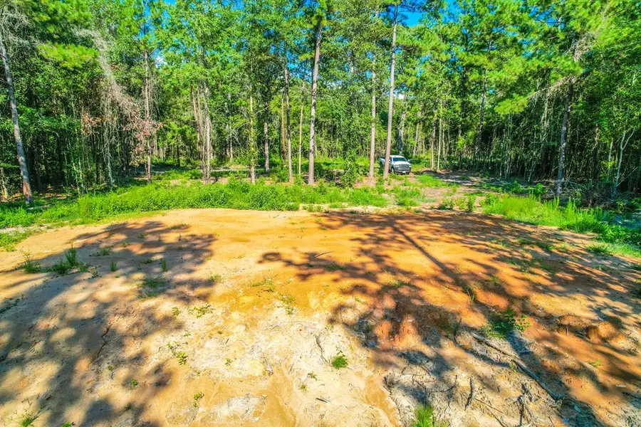 445 County Road 061, Jasper, TX 75951 - #3