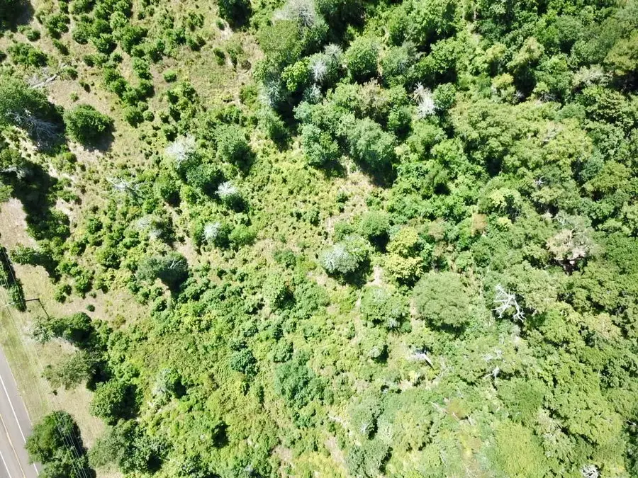 8.2+/- Acs Fm 92 S, Woodville, TX 75979 - #2