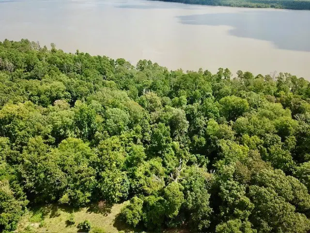 11.826+/- County Road 4190, Woodville, TX 75979 - #3