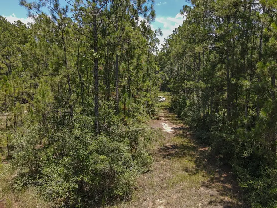 TBD Laird Rd, Kountze, TX 77625 - #3