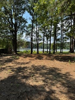 249 Briar Rose Fields, Milam, TX 75959 - #2