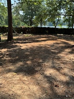 249 Briar Rose Fields, Milam, TX 75959 - #3