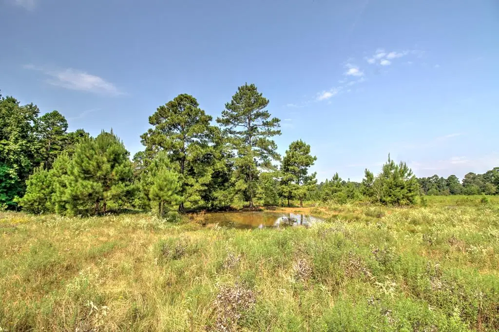 210 Cr 2823, Alto, TX 75925 - #1