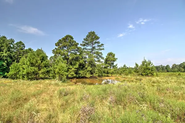 210 Cr 2823, Alto, TX 75925