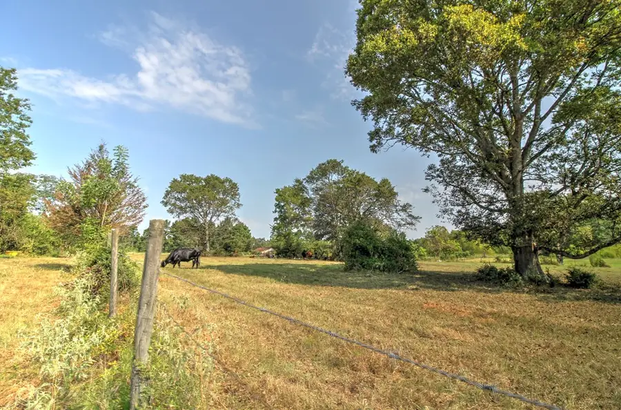 210 Cr 2823, Alto, TX 75925 - #2