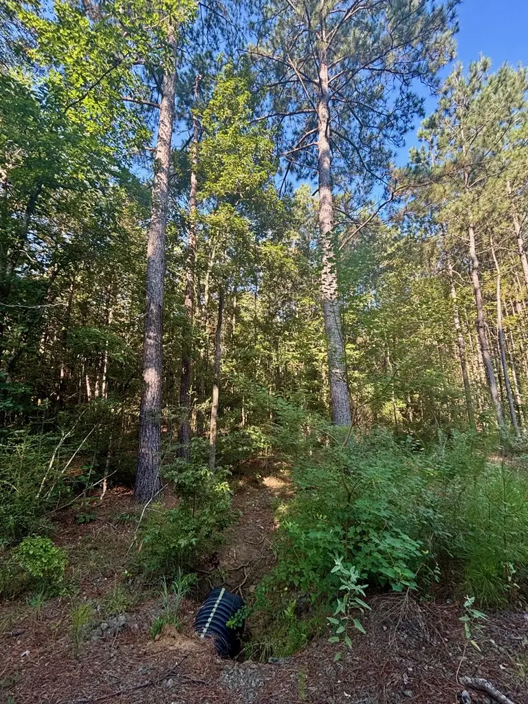 1690 Fm 1751, San Augustine, TX 75972 - #2