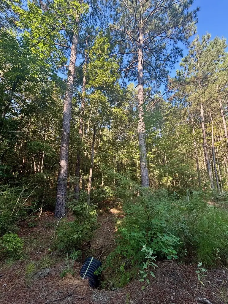 1690 Fm 1751, San Augustine, TX 75972 - #3