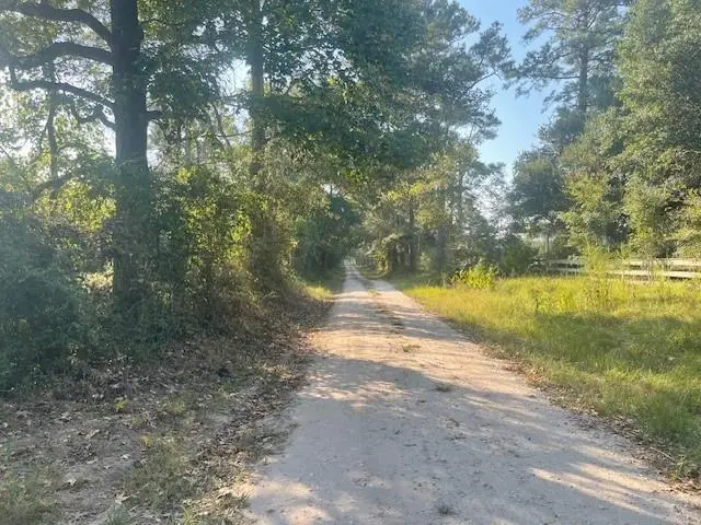 940 Bill Jones Road, Groveton, TX 75845 - #2