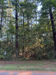 822 Admiral Drive, Hemphill, TX 75948 - #1