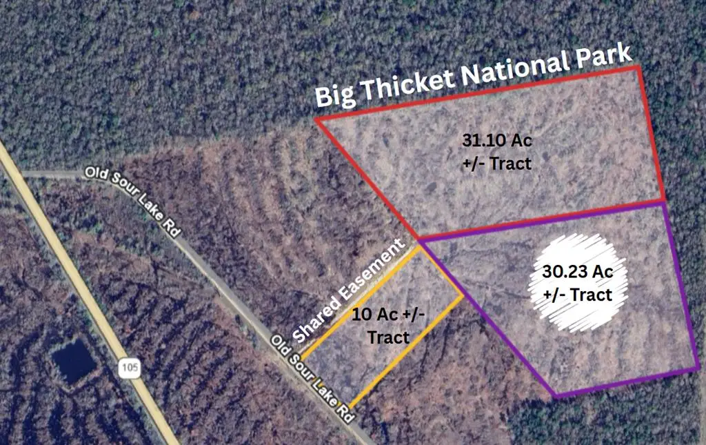 36780 Old Sour Lake Road, Sour Lake, TX 77659 - #1