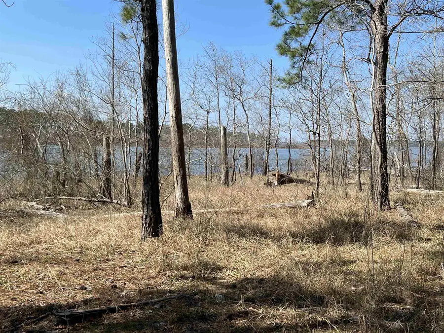 028 Pr 6028, Brookeland, TX 75931 - #2