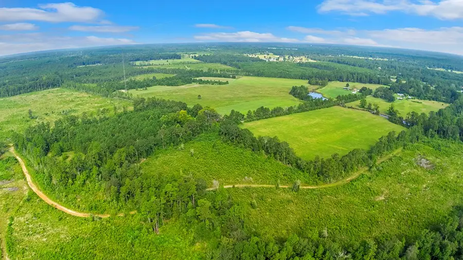 4725 County Road 3068, Call, TX 75933 - #2