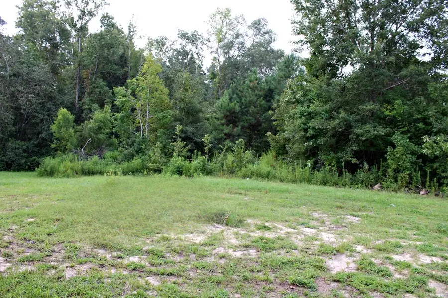 150 Fm 1414, Newton, TX 75966 - #2
