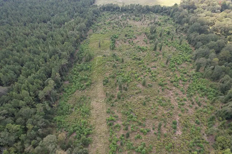 (R153782) Pahal Road, Huntington, TX 75949 - #3