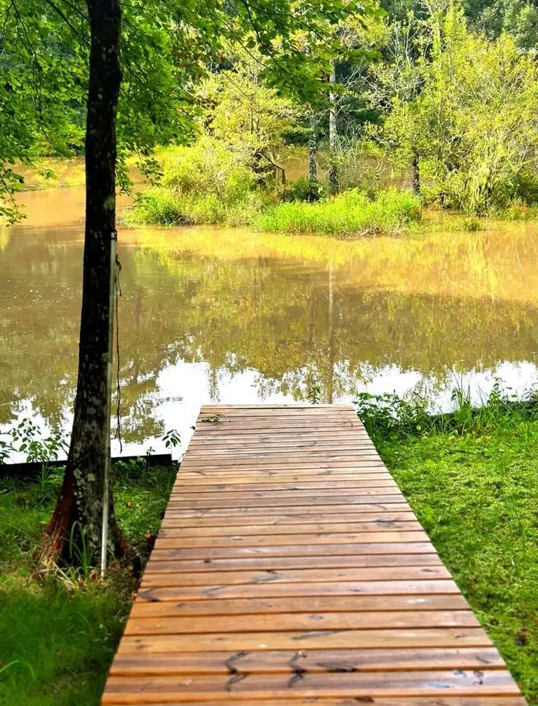 1254 County Road 3180, Colmesneil, TX 75938 - #3