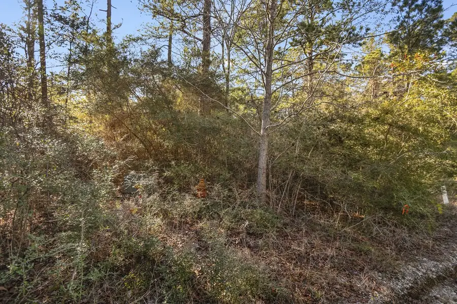 PID# 32587 Crenshaw Drive, Brookeland, TX 75931 - #3