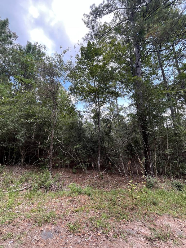 PID #33939 Tupelo Drive, Brookeland, TX 75931