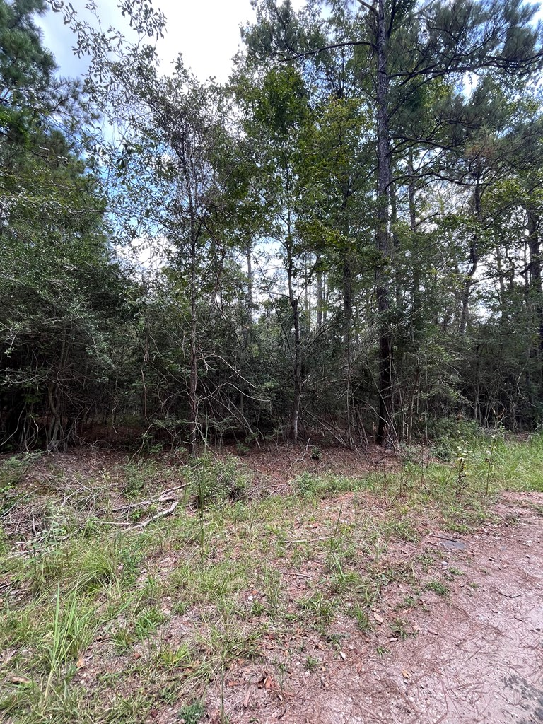 PID #33939 Tupelo Drive, Brookeland, TX 75931 - #2