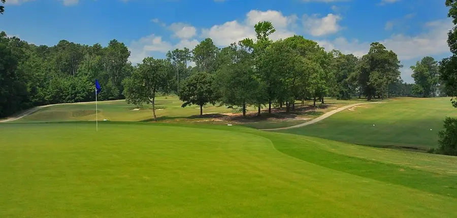 PID #33939 Tupelo Drive, Brookeland, TX 75931 - #3