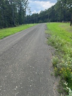 228 Private Rd 8010, Pineland, TX 75968 - #2