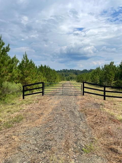 11339 Fm 226, Chireno Martinsville, TX 75961 - #1