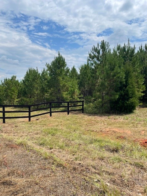 11339 Fm 226, Chireno Martinsville, TX 75961 - #2