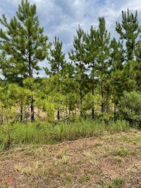 11339 Fm 226, Chireno Martinsville, TX 75961 - #3