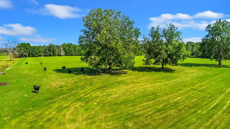 1780 County Road 480, Kirbyville, TX 75956 - #3