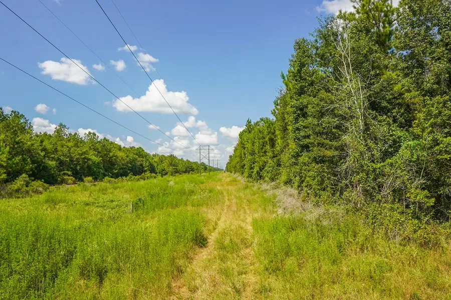TBD Fm 1293, Thicket, TX 77585 - #2