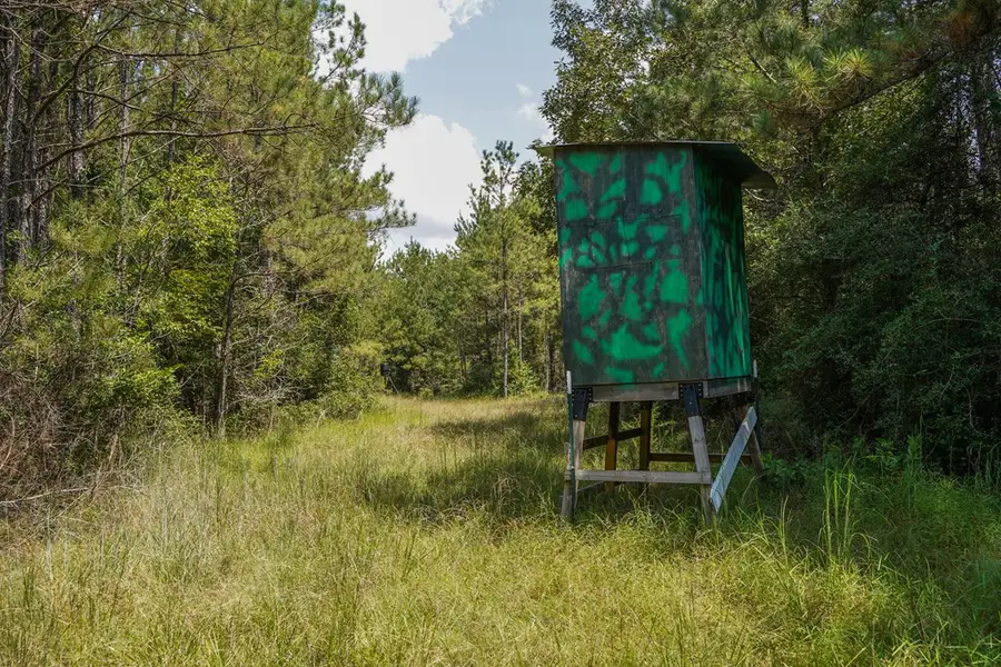 TBD Fm 1293, Thicket, TX 77585 - #3