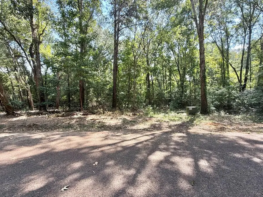 R000128431 Kingfisher Drive, Hemphill, TX 75948 - #2