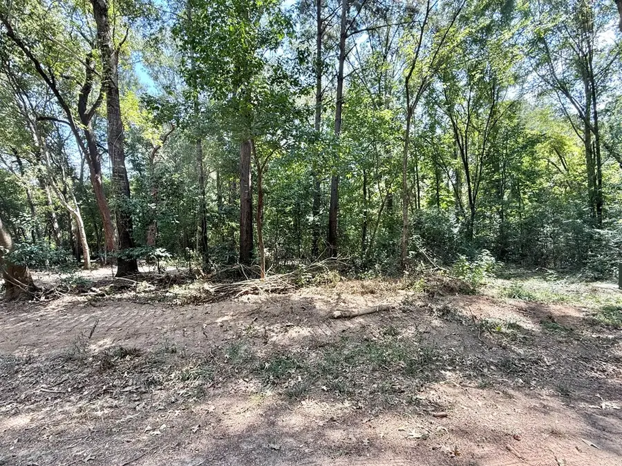 R000128431 Kingfisher Drive, Hemphill, TX 75948 - #3