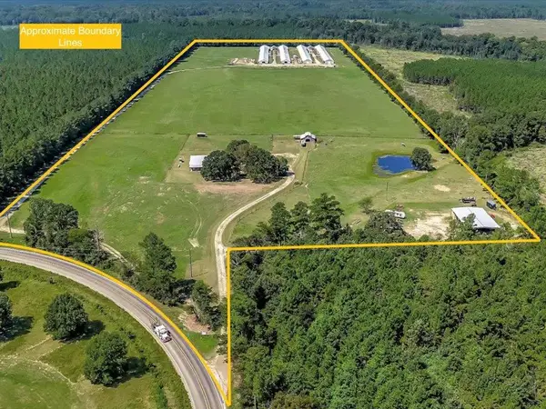 19387 Fm 1818, Huntington, TX 75949