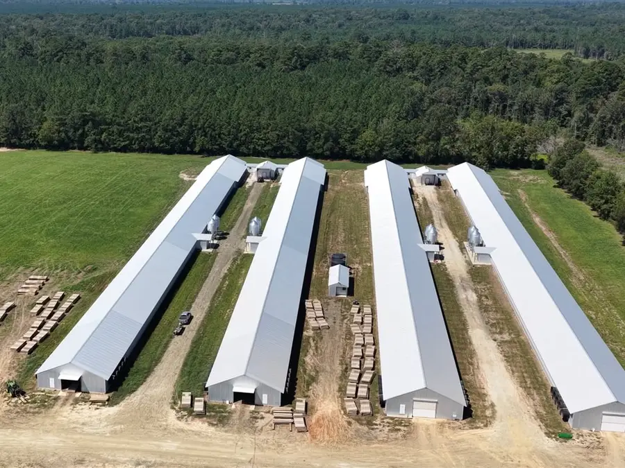 19387 Fm 1818, Huntington, TX 75949 - #3