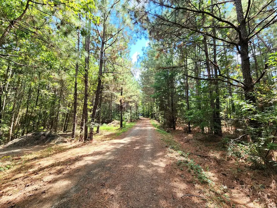 2685 Cr 4260, Bronson, TX 75930 - #2
