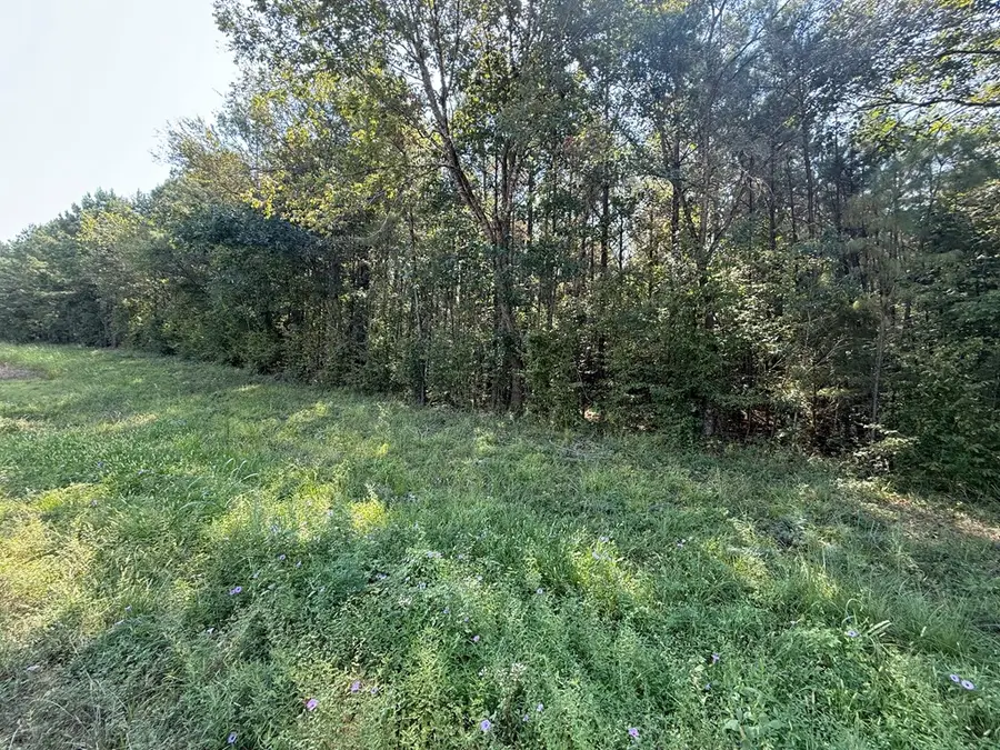 6474 St Hwy 103 E, Bronson, TX 75930 - #2