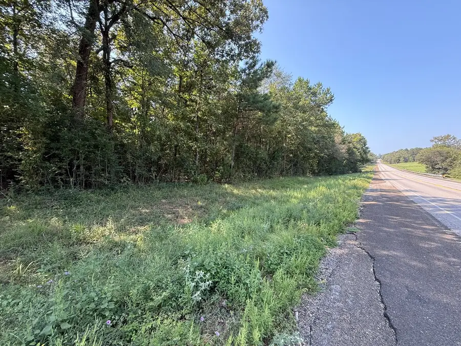 6474 St Hwy 103 E, Bronson, TX 75930 - #3