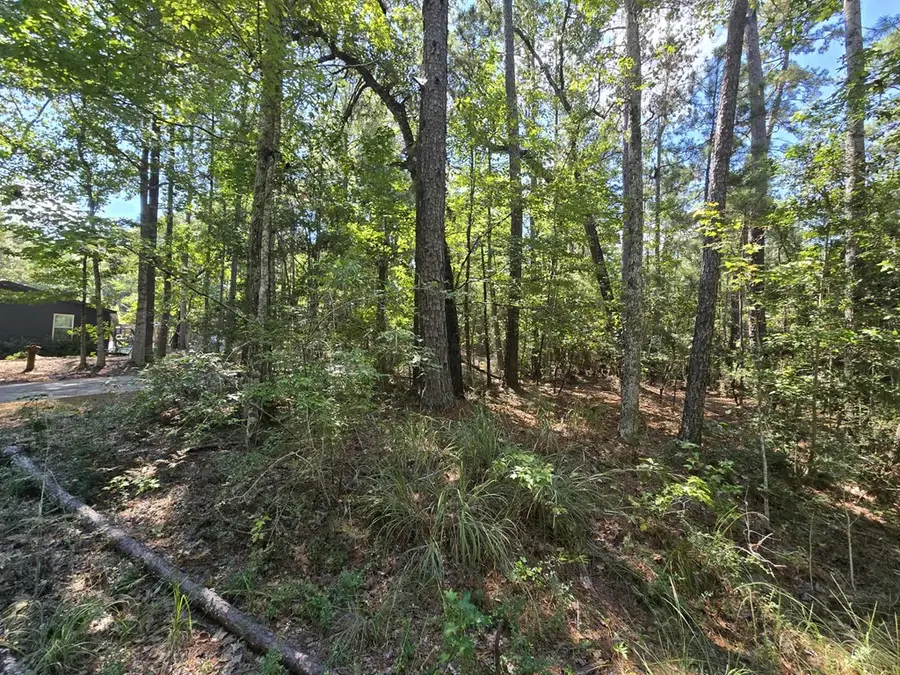 R32815 Idlewood, Brookeland, TX 75931 - #2