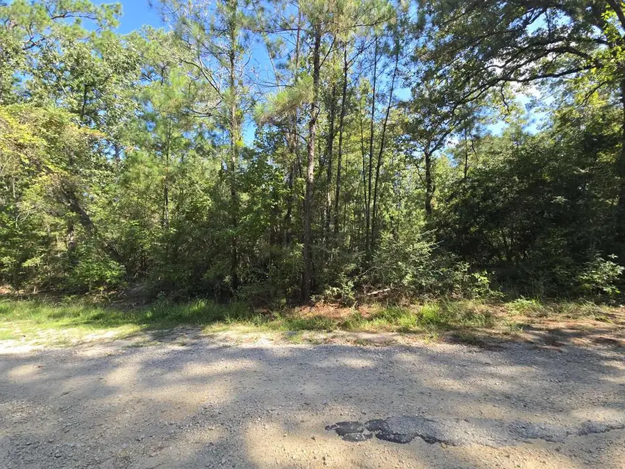 R32815 Idlewood, Brookeland, TX 75931 - #3